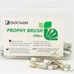 Prophy brush