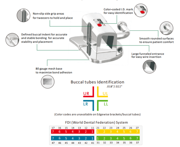 Second molar bondable buccal tube UR - Image 3